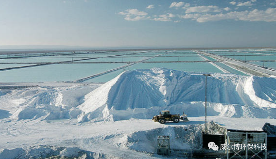 飞驰娱乐苹果版下载