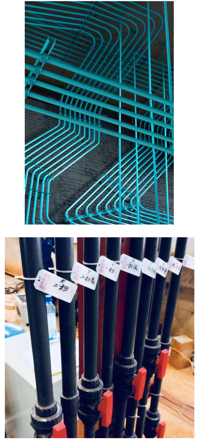 飞驰娱乐苹果版下载