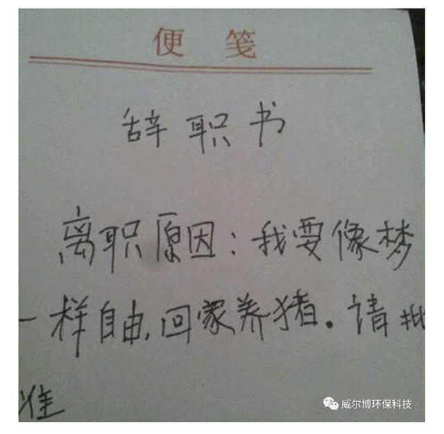 飞驰娱乐苹果版下载