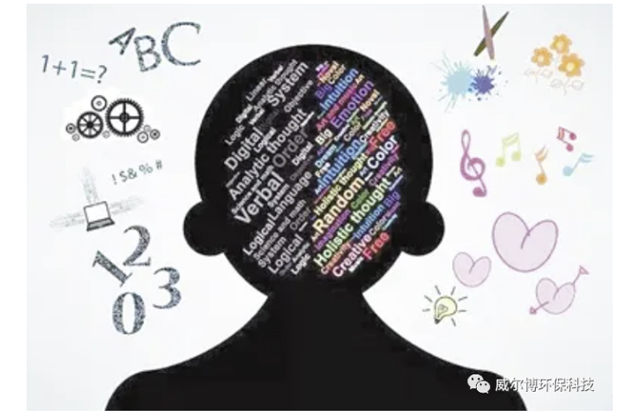 飞驰娱乐苹果版下载