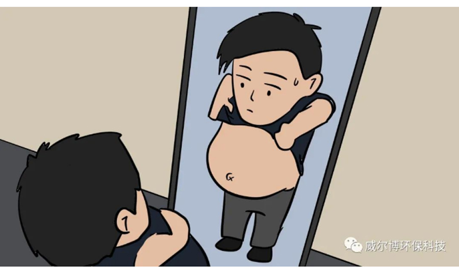 飞驰娱乐苹果版下载