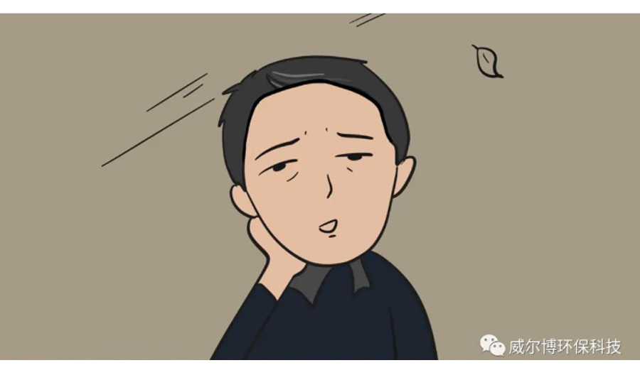 飞驰娱乐苹果版下载