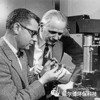 飞驰娱乐苹果版下载