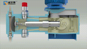 飞驰娱乐苹果版下载