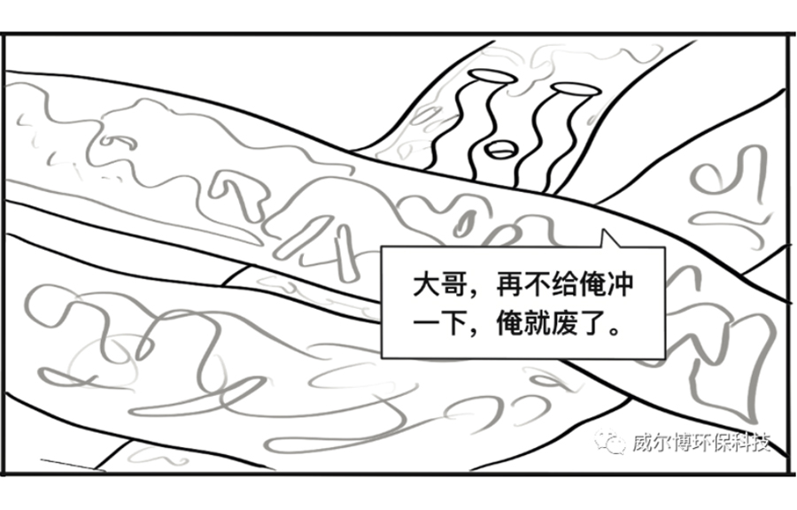 飞驰娱乐苹果版下载