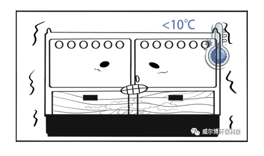 飞驰娱乐苹果版下载
